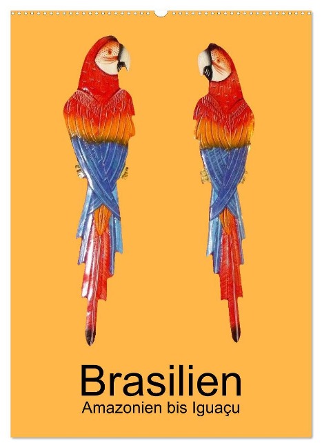 Brasilien - Amazonien bis Iguaçu (Wandkalender 2025 DIN A2 hoch), CALVENDO Monatskalender - Rudolf Blank