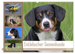 Entlebucher Sennenhunde Emma und Luna (Wandkalender 2025 DIN A2 quer), CALVENDO Monatskalender - SchnelleWelten SchnelleWelten