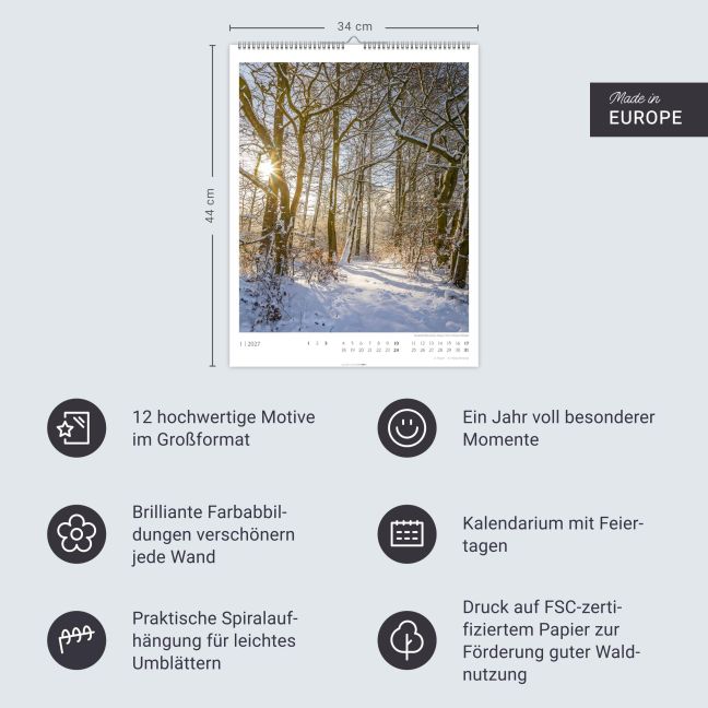 InsideView 13