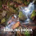Cover-Bild zum Titel 'Babbling Brook (without music) for Deep Sleep, Meditation, Relaxation: Relax, De-stress Or Fall Asleep To The Soothing Sound Of A Babbling Brook' von 'Yella A. Deeken'