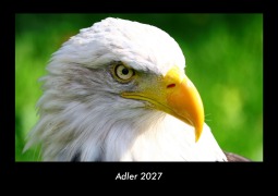 Cover-Bild zum Titel 'Adler 2027 Fotokalender DIN A3' von 'Tobias Becker'