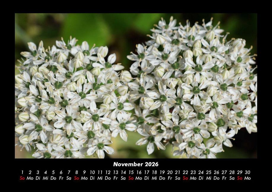 InsideView 3