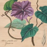 Cover-Bild zum Titel 'Yowzers' von 'Ben Lamar Gay'