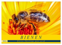 Cover-Bild zum Titel 'BIENEN - Kleine Nützlinge ganz groß (Wandkalender 2026 DIN A2 quer), CALVENDO Monatskalender' von 'Andrea Dreegmeyer'