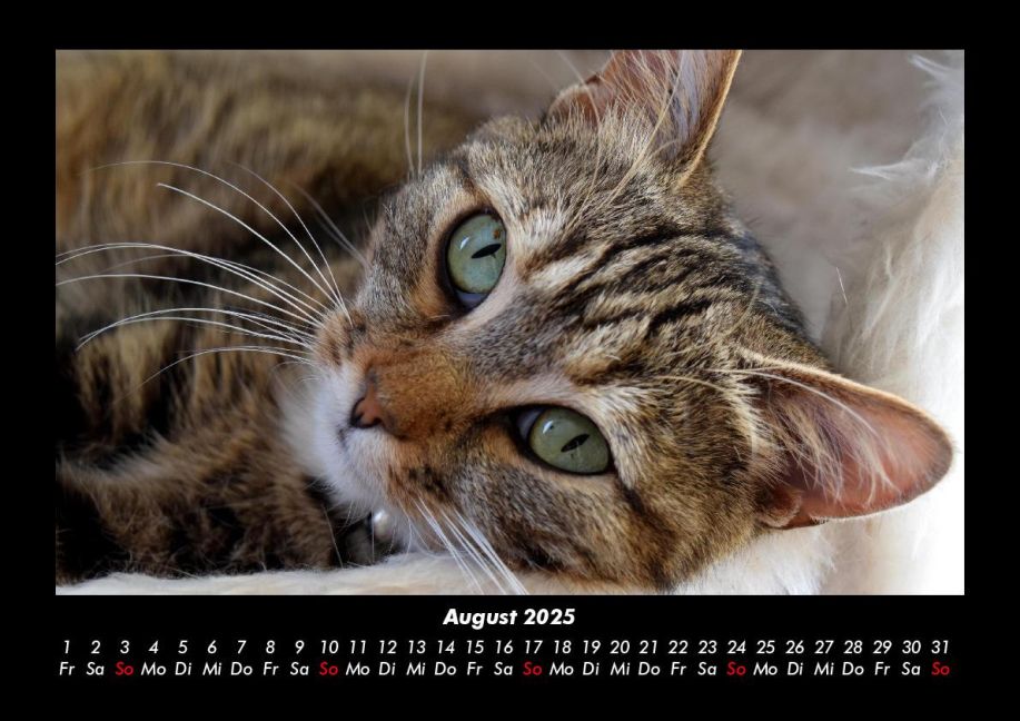 InsideView 12