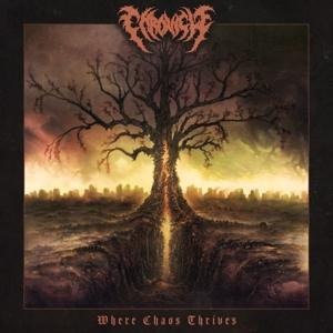 Where Chaos Thrives - Chronicle