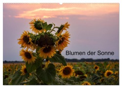 Cover-Bild zum Titel 'Blumen der Sonne (Wandkalender 2026 DIN A2 quer), CALVENDO Monatskalender' von 'Nne Käfer-Naumann'