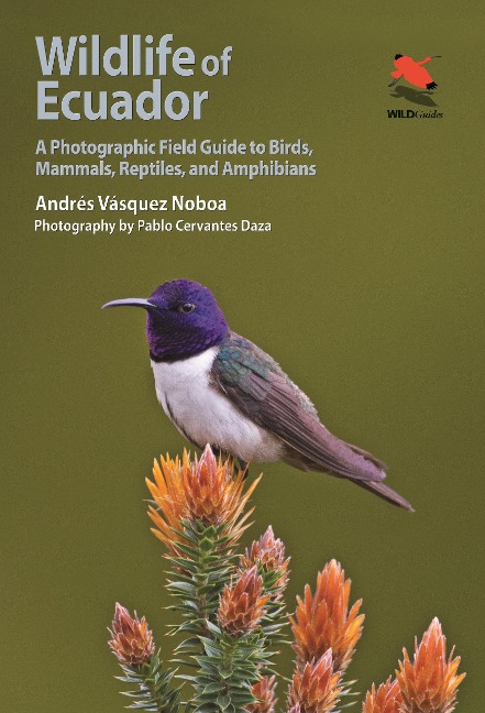 Wildlife of Ecuador - Andrés Vásquez Noboa