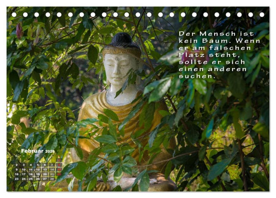 InsideView 7