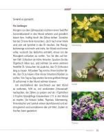 InsideView 13