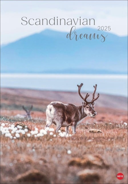 Scandinavian Dreams Posterkalender 2025 - 