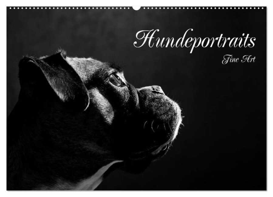 Hundeportraits Fine Art (Wandkalender 2026 DIN A2 quer), CALVENDO Monatskalender - Jana Behr