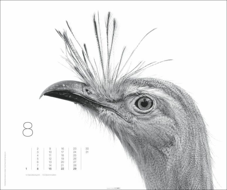 InsideView 8