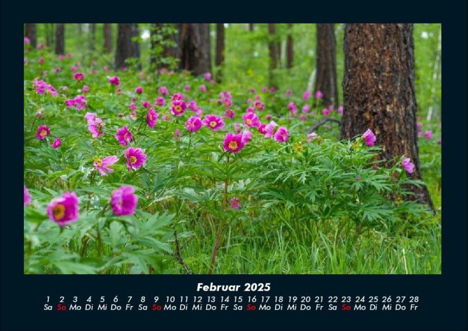 InsideView 6