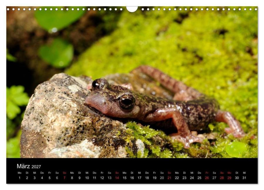 InsideView 8