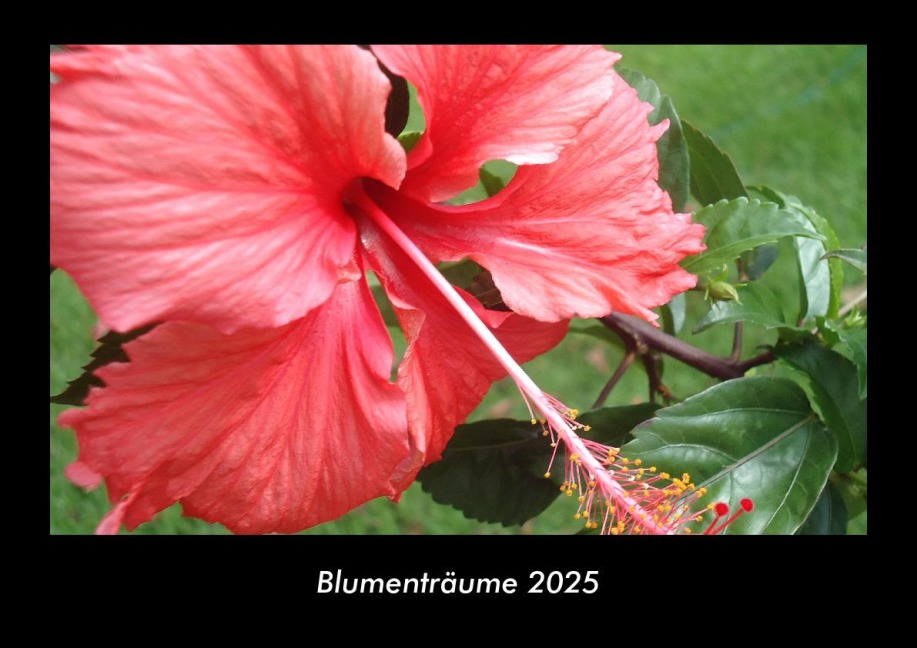 Blumenträume 2025 Fotokalender DIN A3 - Tobias Becker