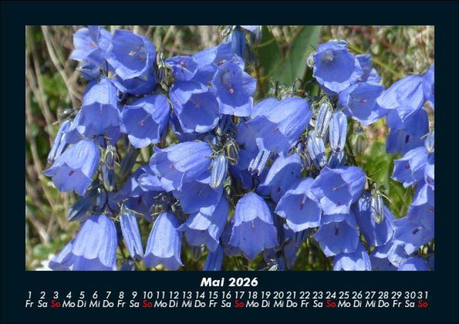 InsideView 9