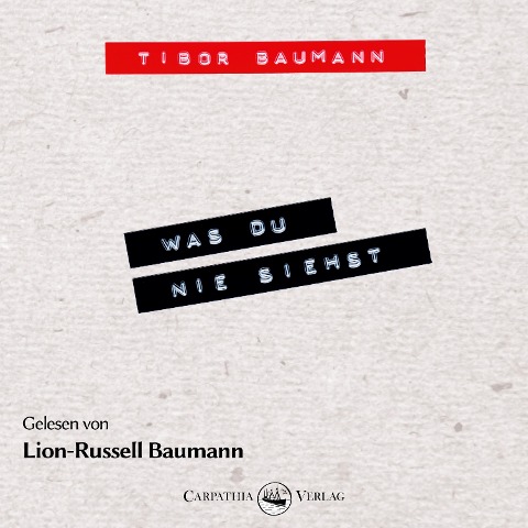 Was du nie siehst - Tibor Baumann