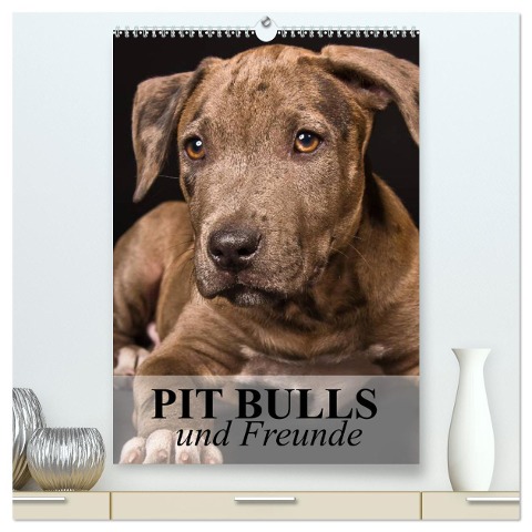 Pit Bulls und Freunde (hochwertiger Premium Wandkalender 2024 DIN A2 hoch), Kunstdruck in Hochglanz - Elisabeth Stanzer