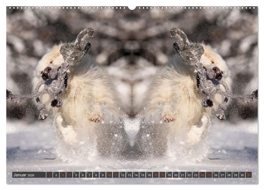 InsideView 5