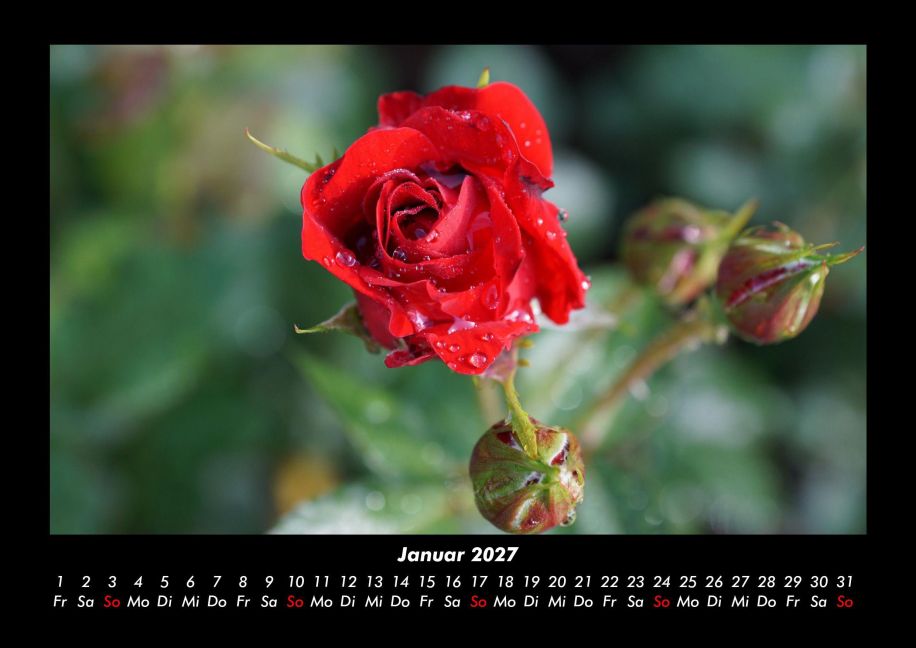 InsideView 5