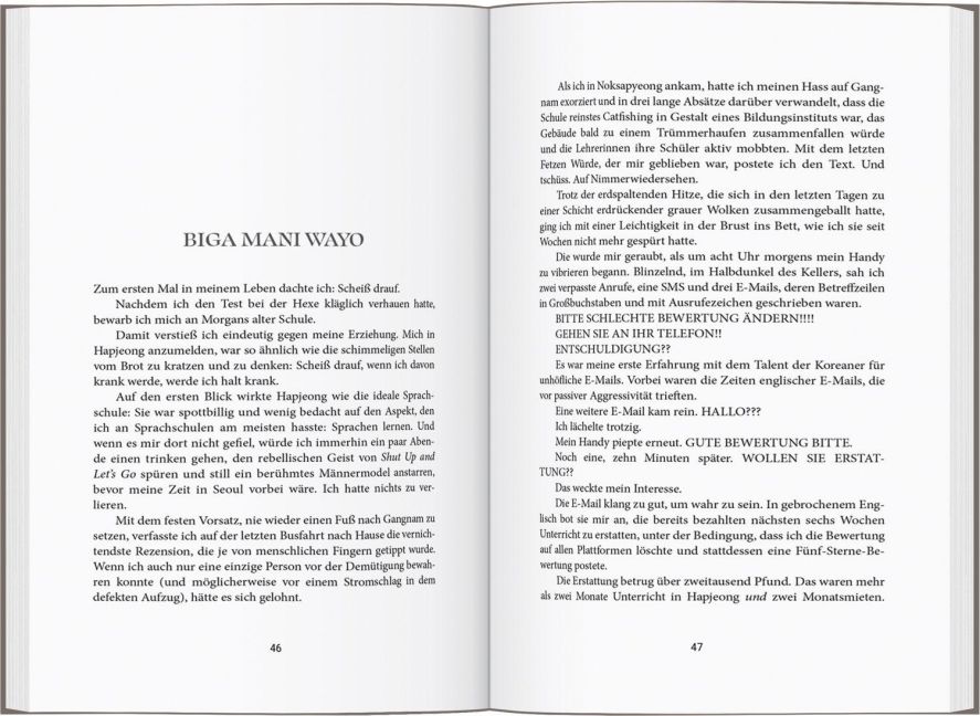 InsideView 4
