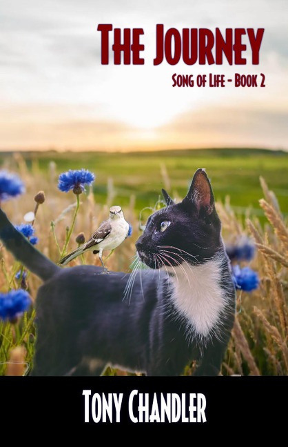 The Journey (Song of Life - Book 2) - Tony Chandler
