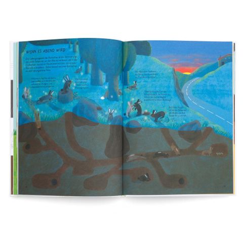 InsideView 3