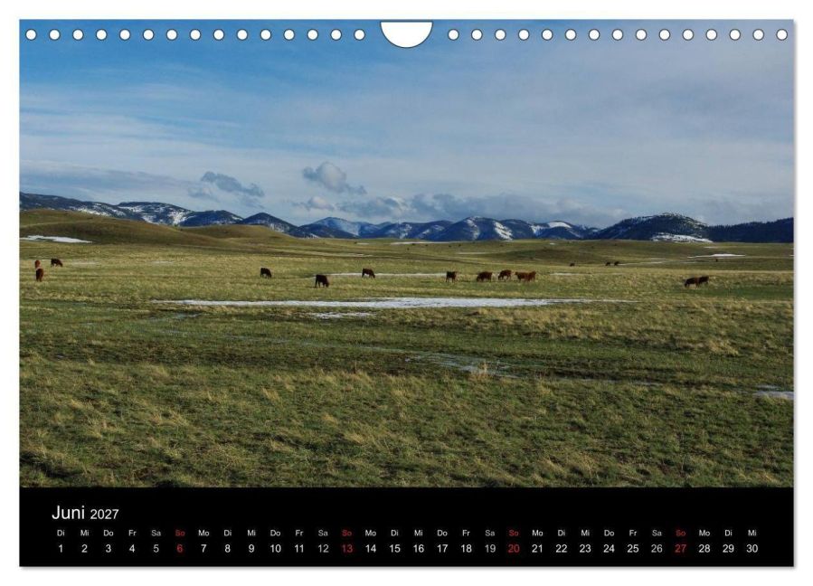 InsideView 11