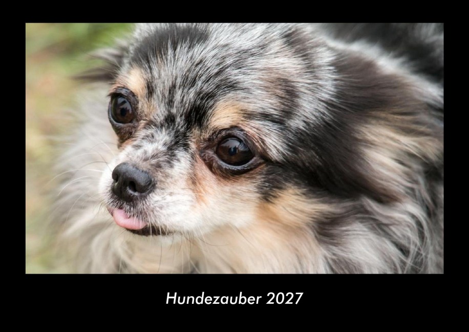 Hundezauber 2027 Fotokalender DIN A3 - Tobias Becker