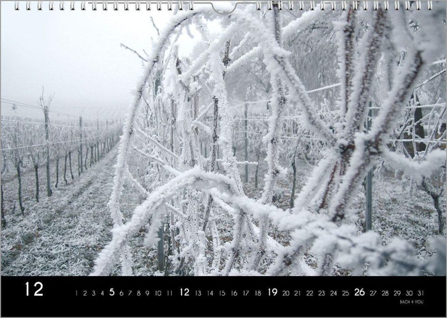 InsideView 12