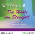 Cover-Bild zum Titel 'Die Höhle von Steenfoll' von 'Wilhelm Hauff'