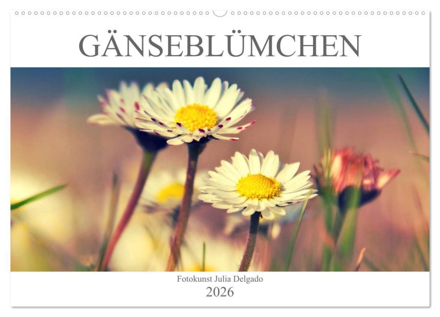 Gänseblümchen Poesie (Wandkalender 2026 DIN A2 quer), CALVENDO Monatskalender - Julia Delgado