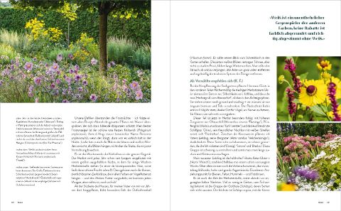 InsideView 6