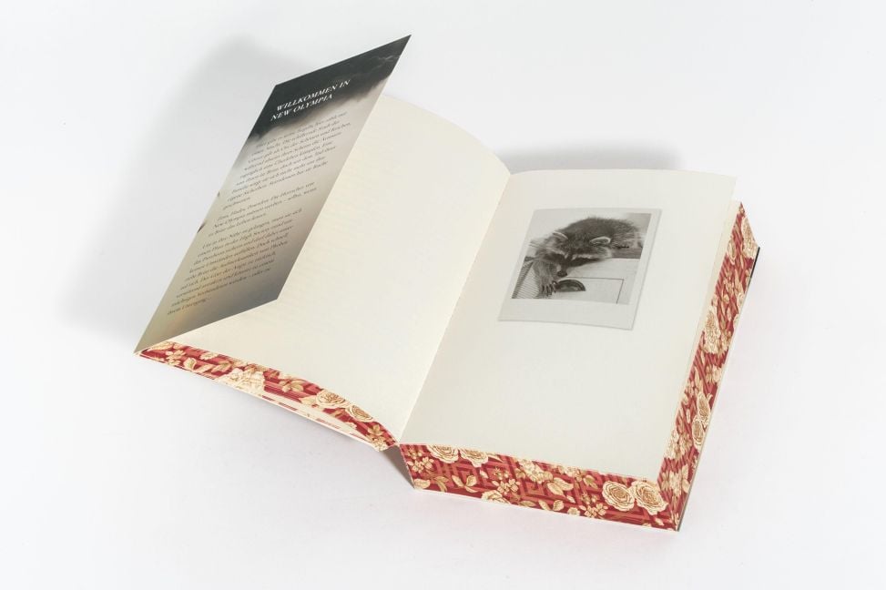 InsideView 5