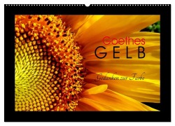 Goethes Gelb Gedanken zur Farbe (Wandkalender 2026 DIN A2 quer), CALVENDO Monatskalender - Lucy M. Laube