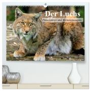 Der Luchs. Pinselohren und Bernsteinaugen (hochwertiger Premium Wandkalender 2026 DIN A2 quer), Kunstdruck in Hochglanz - Elisabeth Stanzer