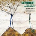 Trio Opus 99/Forellenquintett - Daniel/Shaham Palmizio