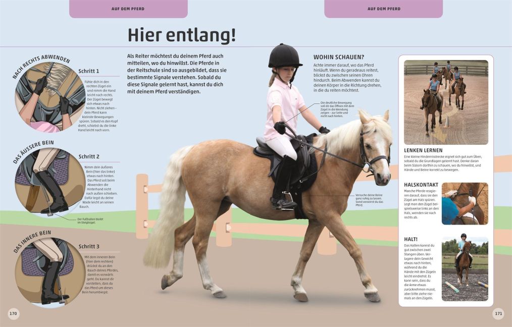 InsideView 7