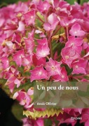 Cover-Bild zum Titel 'Un peu de nous' von 'Anaïs Ollivier'
