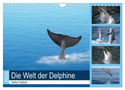 Cover-Bild zum Titel 'Die Welt der Delphine (Wandkalender 2026 DIN A4 quer), CALVENDO Monatskalender' von 'Heike Hultsch'
