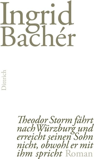 Theodor Storm fährt nach Würzburg und erreicht seinen Sohn nicht, obwohl er mit ihm spricht - Ingrid Bachér