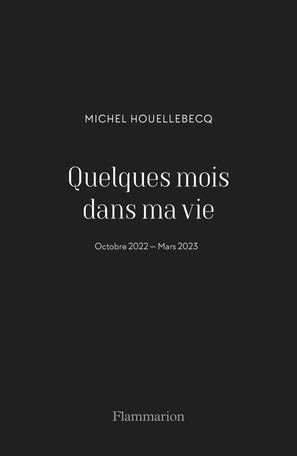 Quelques mois dans ma vie - Michel Houellebecq