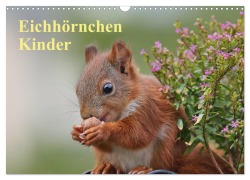 Eichhörnchen Kinder (Wandkalender 2026 DIN A3 quer), CALVENDO Monatskalender - Tine Meier
