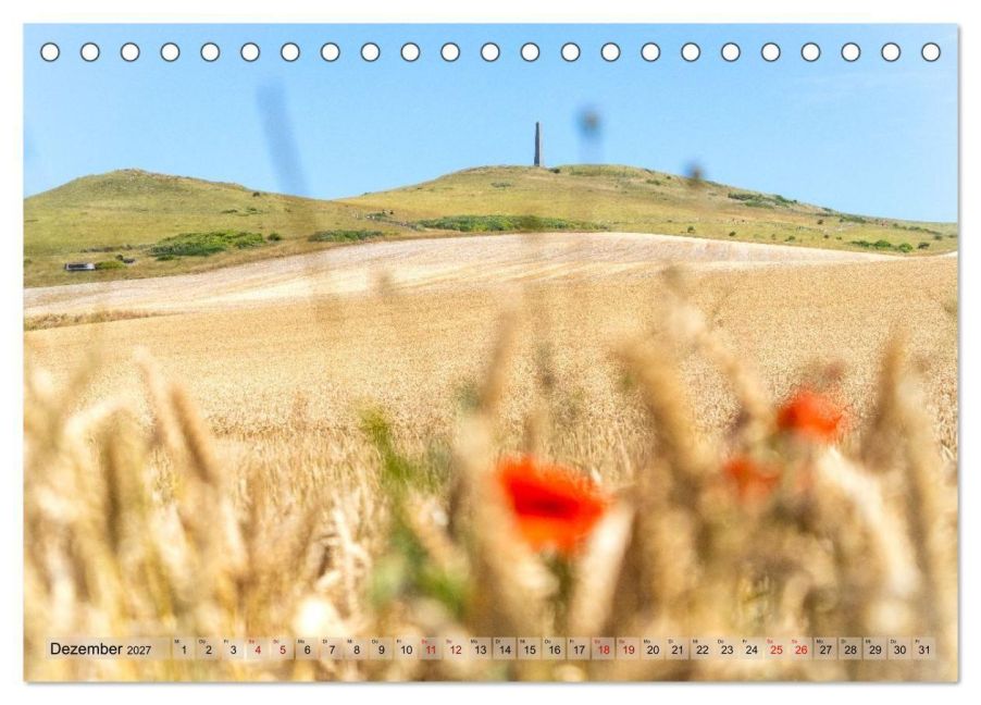 InsideView 4
