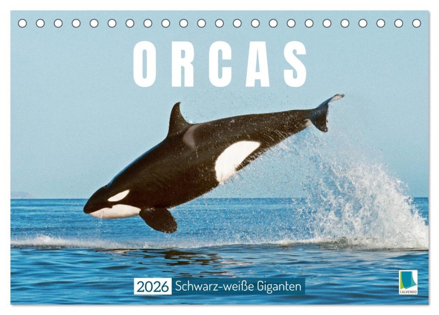 Orcas: Schwarz-weiße Giganten (Tischkalender 2026 DIN A5 quer), CALVENDO Monatskalender - Calvendo Calvendo