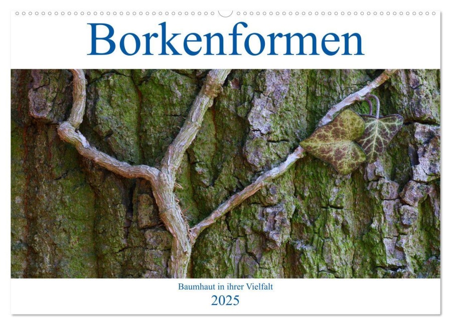 Borkenformen (Wandkalender 2025 DIN A2 quer), CALVENDO Monatskalender - Clemens Stenner