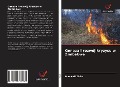 Cover-Bild zum Titel 'Geneza i rozwój kryzysu w Zimbabwe' von 'Maxwell Zhira'