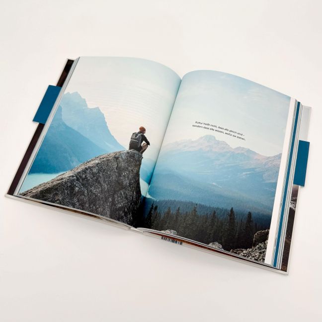 InsideView 7