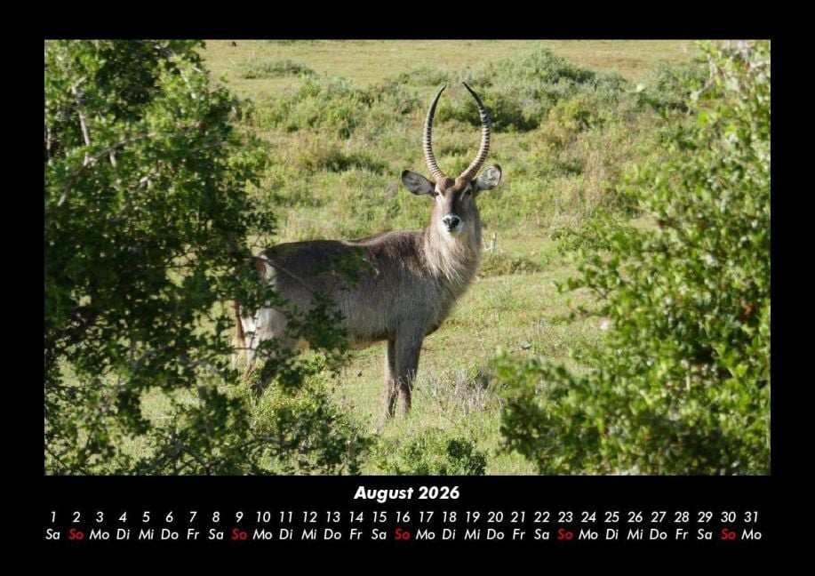 InsideView 12